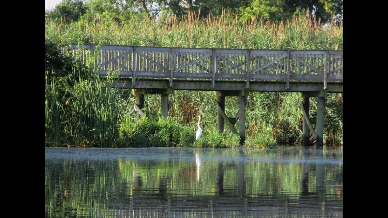 Paddling Rock Run Rookery