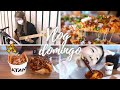 Vlog DomingoㅣPizza al Pastor & ChucheriasㅣFamilia MexicoreanaㅣCoreanas en Mexico