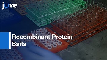 Phage Display & Affinity Selection Using Recombinant Protein Baits l Protocol Preview