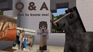 Answering Your Questions! | DibbleCraft | Mc Equestrian