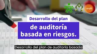 Risk-Based Audit Planning: Risk Identification, Area Selection