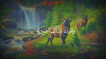 القارئ الشيخ هزاع البلوشي||حالات واتس اب||قرآن كريم ❤❤
