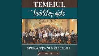 Video thumbnail of "Speranta si Prietenii - Tara de vis"