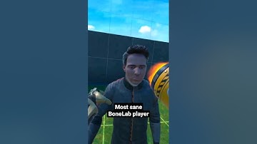 Most sane BoneLab player #shorts #bonelab #vr