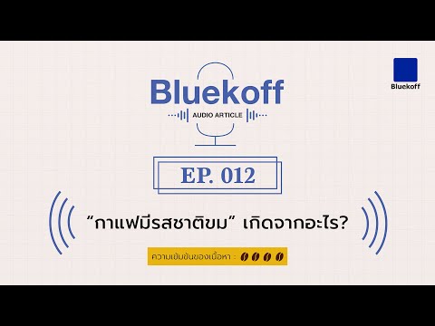 Bluekoff Audio Article: EP.012 | “กาแฟมีรสชาติขม” เกิดจากอะไร?