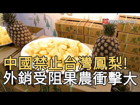 中國禁止台灣鳳梨! 外銷受阻果農衝擊大｜寰宇新聞20210302