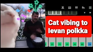 Cat vibing to Ievan polkka piano tutorial on walkband |AUB's Piano 🎹 screenshot 5