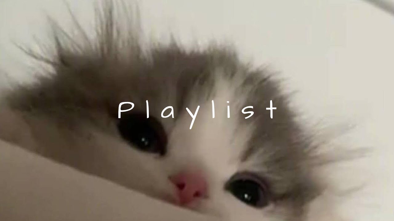 𝐏𝐥𝐚𝐲𝐥𝐢𝐬𝐭 릴스에서 주워온 느좋 감성 모음 🤍🎧 | reels vibe · chill r&b · study & relax