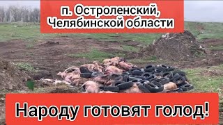 🔴Народу готовят голод! 29 апреля, Челябинская область.