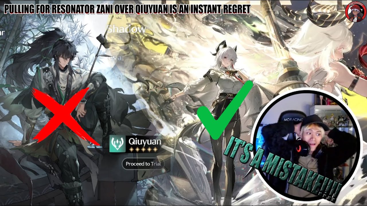 WHEN PICKING BOOBIES OVER AURA FARMER GONE WRONG!!! Teny Pulls on Zani Wuthering Waves