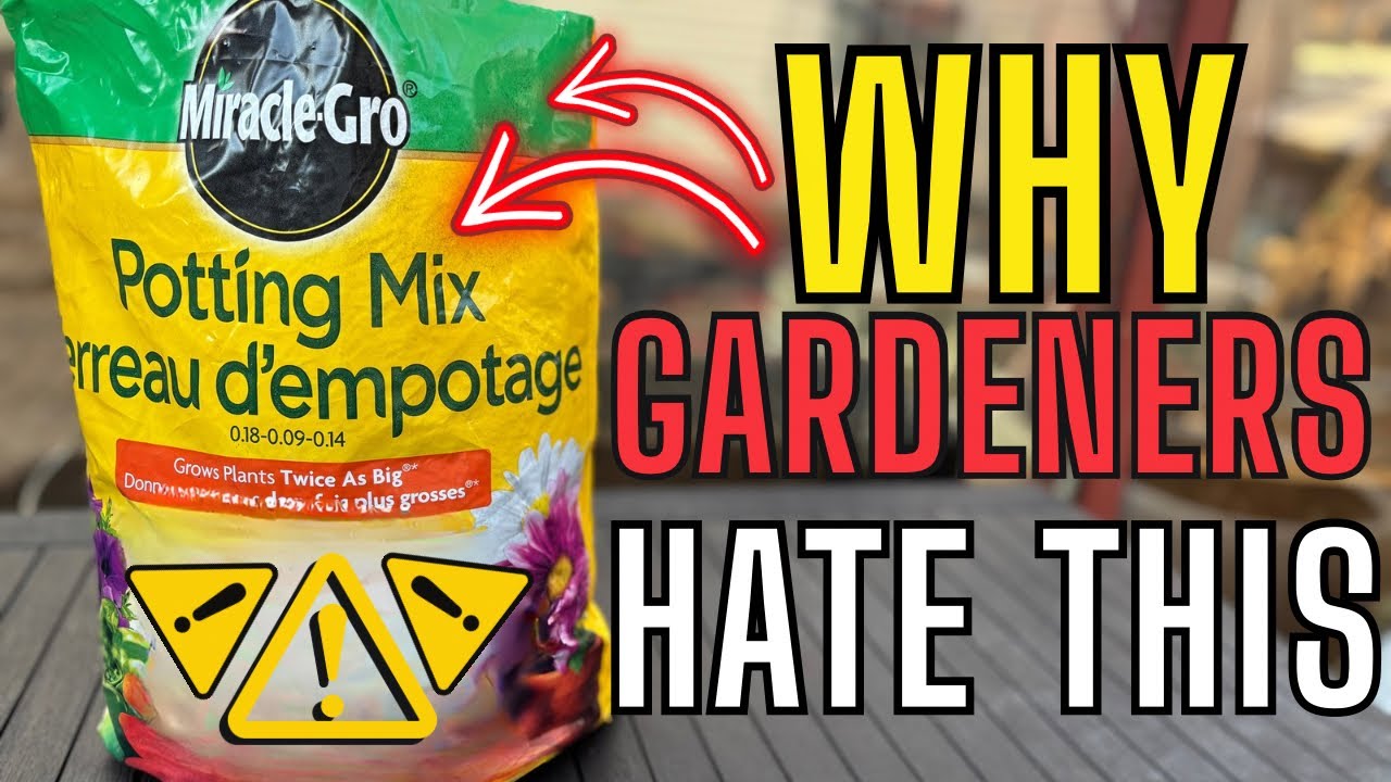 STOP Hating Miracle-Gro: 🛑 The Internet Is Wrong Again