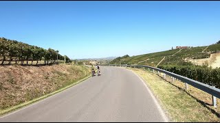 Tour del Barolo (Short loop) - Vineyards of Italia - Indoor Cycling Training