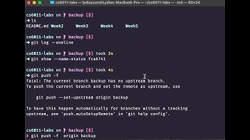 How to Recover Accidentally Deleted Files Locally and from a Remote Git Repository