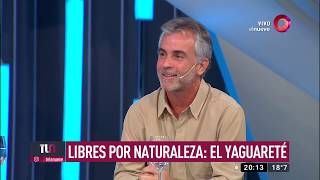 Libres X Naturaleza 1- Yaguareté  Canal 9