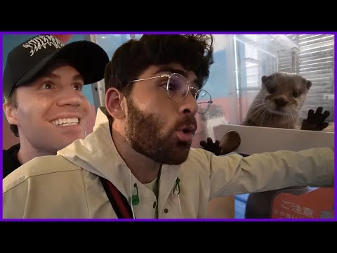 Thumbnail for HasanAbi Visits Otter Cafe with Will Neff, AustinShow, jakenbakeLIVE, PulseJP, Murat | Japan Day 3