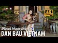 Dan Bau - Vietnamese Musical Instruments and Traditional 2