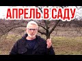 Садовые работы в апреле / Игорь Билевич