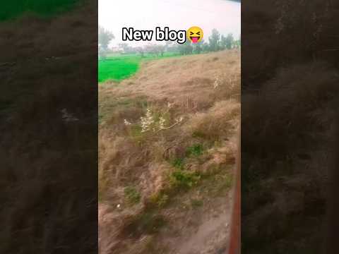 #fannymoments by ⚙️RAJU yaduvanshi 