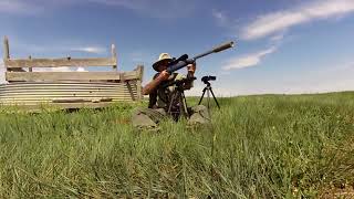 22-250 Rem With 50gr V-Max