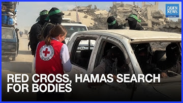Red Cross, Hamas Search Gaza City Neighbourhood for Remains of Israeli Hostages | Dawn News English