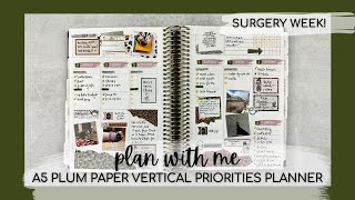 PLAN WITH ME | planning out a summer week in my PP vertical priorities! | may 29 - june 4