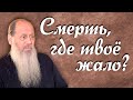 Смерть, где твое жало? (о. Владимир Головин)