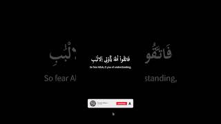 🔥 Surah Al-Maidah 🔥ماتيسر من سورة المائدة🌿قل لا يستوي الخبيث والطيب ..🌿 #quran #القران_الكريم