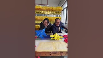 You Must Get This RC Plane ✈👀  #toys #toy #rcplane #drone #f22raptor #rcjets #fypシ #rcairplane