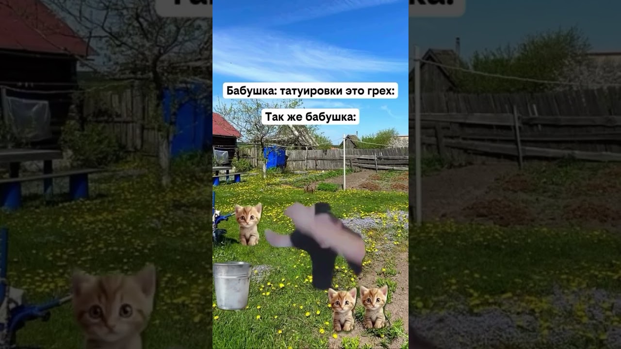 Подпишись пожалуйста 