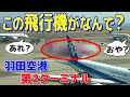 え?! 何が起きてるの?! 羽田空港第2ターミナルに現れた珍しいお客様