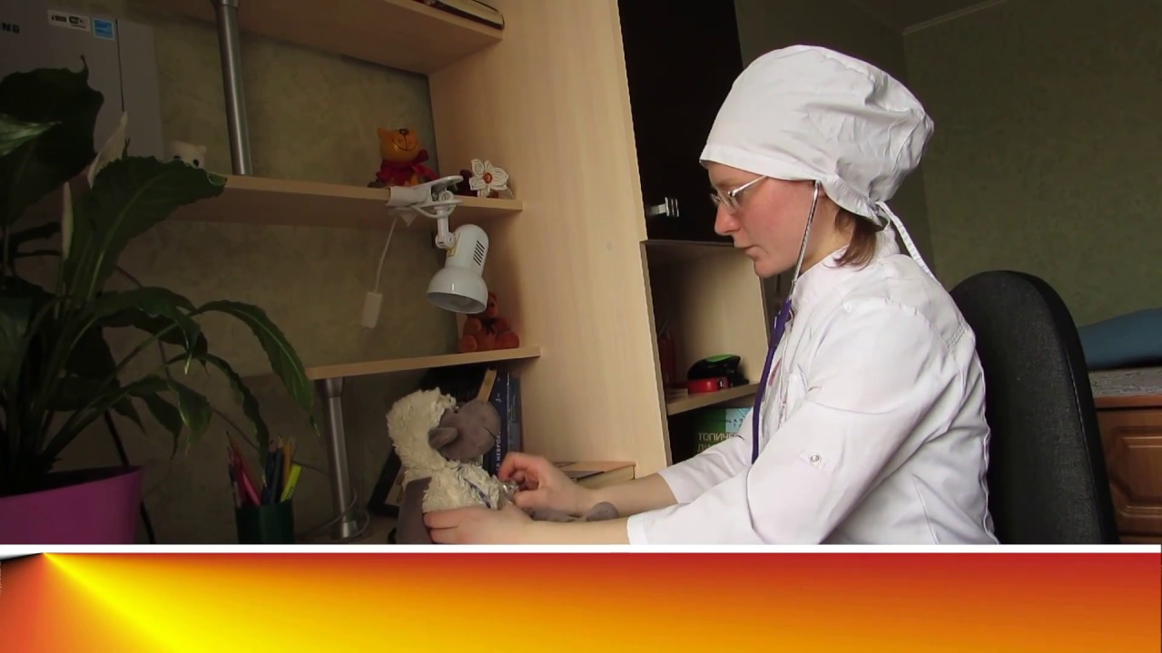 Кинологические курсы/ О собаках