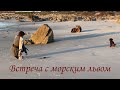 17-мильная дорога, Калифорния. Закат на океане. Встреча с морским львом.