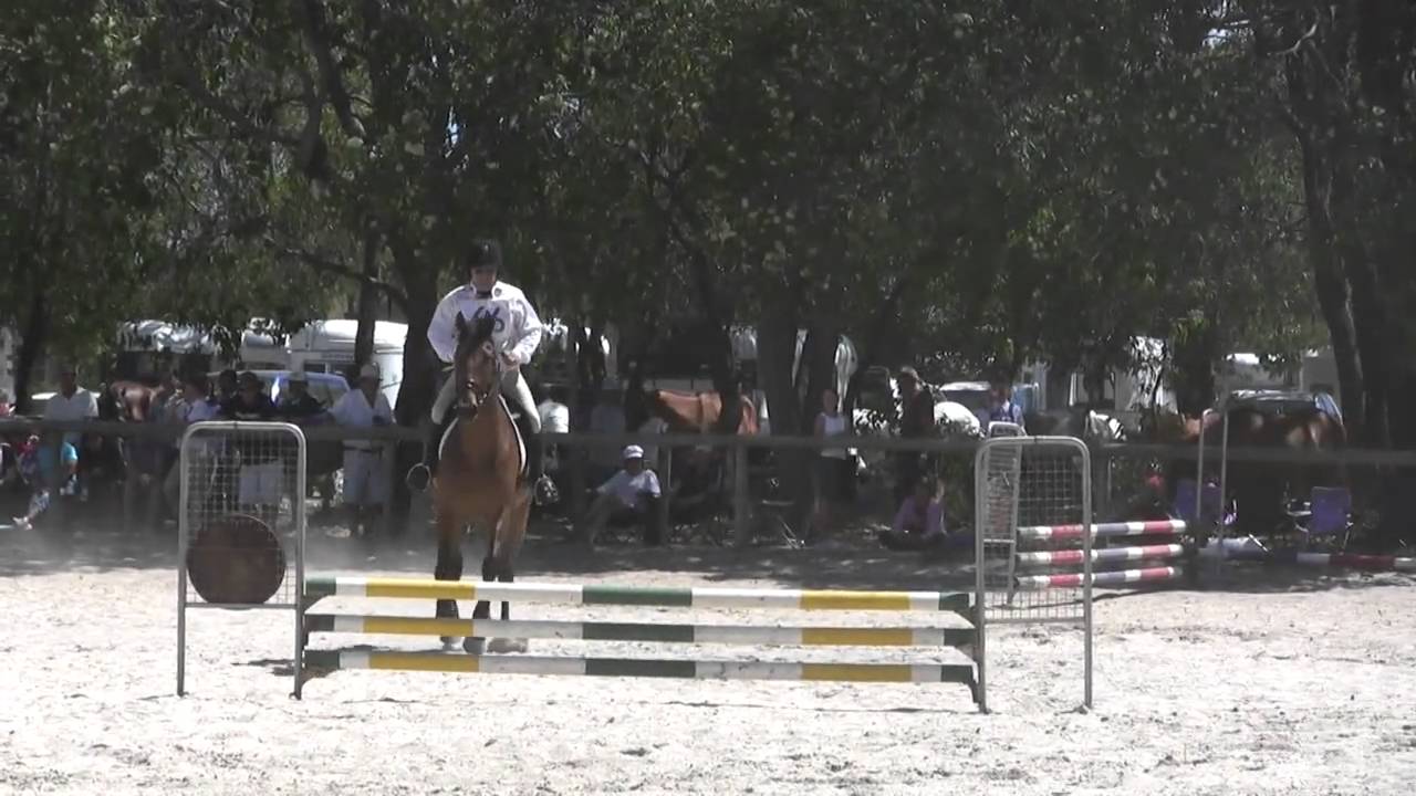 Wallangarra One Day Event Equestrian Show Jumping Highlights