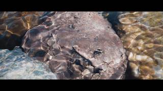 Sunlight on River Stones | Houdini Water Simulation | VFX Breakdown News