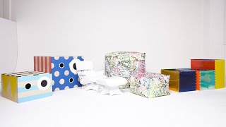 Watch the introduction of the Big Bow Project.