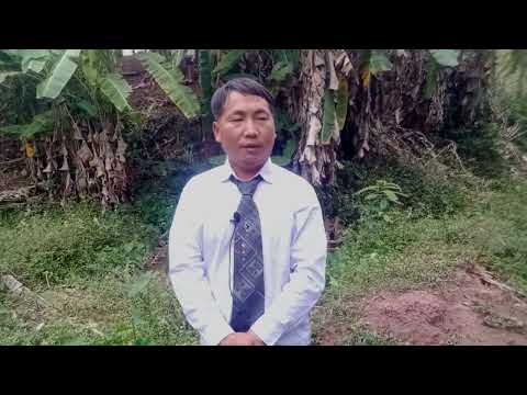 Video: 12 Borneo Khoom Noj Koj Yuav Nyiam Sim
