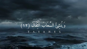 ايات من سورة الرعد بصوت ماهر المعيقلي / فيديو قرآن قصير