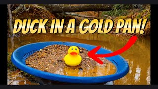 How To Do The Rubber Duck Gold Panning Challenge.