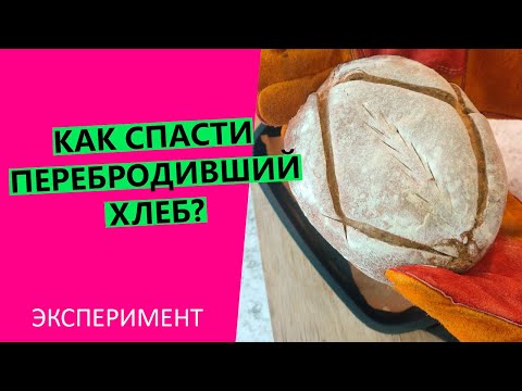 ХЛЕБ ПЕРЕБРОДИЛ, 😵😱РАСПЛЫВАЕТСЯ! Что делать? | Эксперимент!