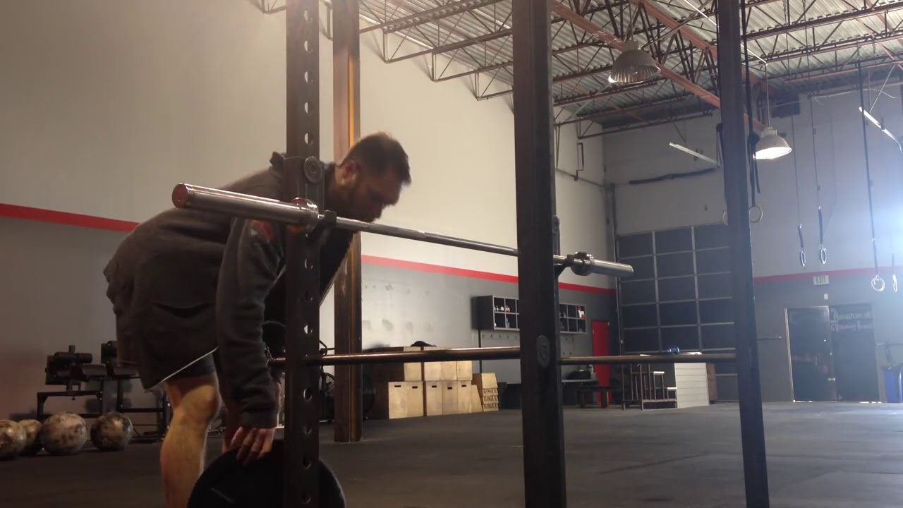 Inverted Plate Rows Inverted Barbell Row and Bent over plate row - YouTube