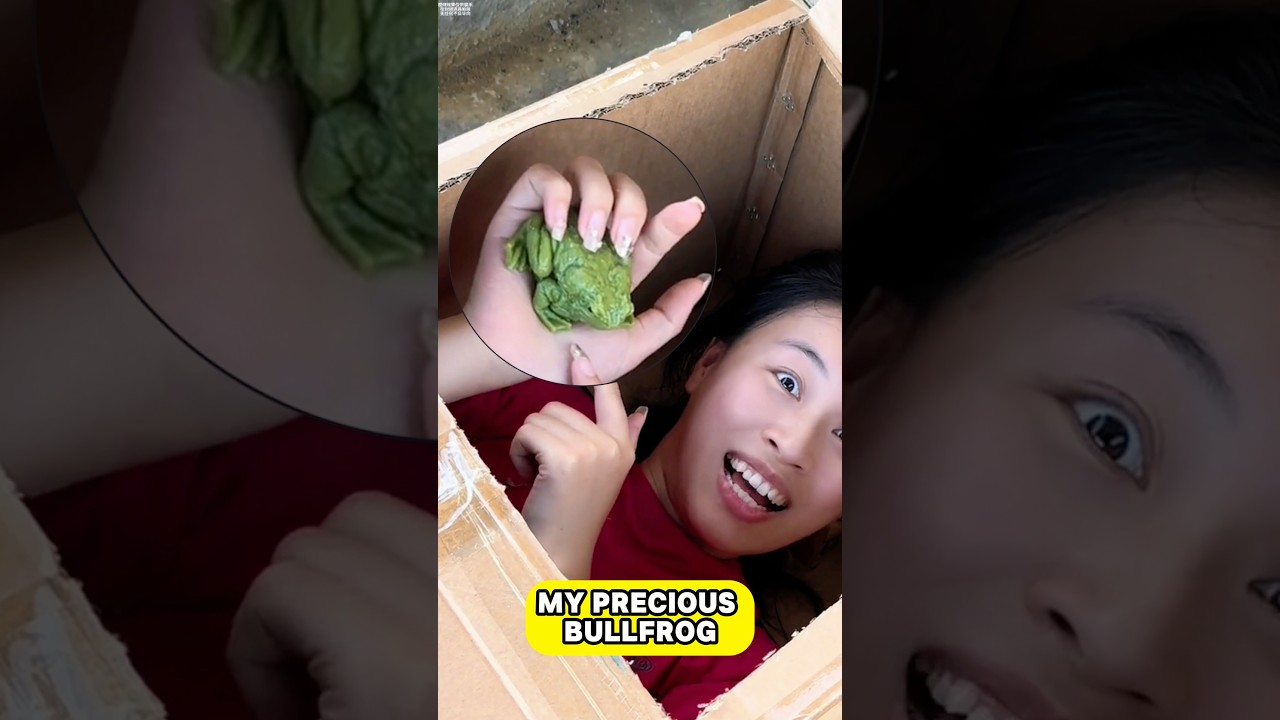 My girlfriend actually raises bullfrogs  in her secret hideout