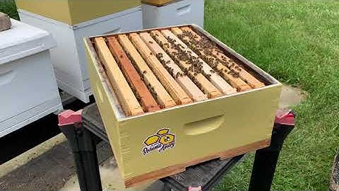 9 frame supers explained | Beekeeping