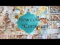 the Coral Reef Collection: A Mesmerizing Blend of Ocean Charm and Steampunk Style