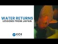 The art of koi pond water return lessons from japan