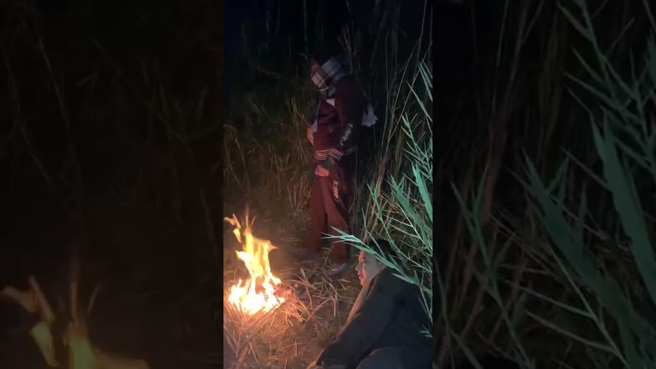 ١٢ ديسمبر ٢٠٢٥