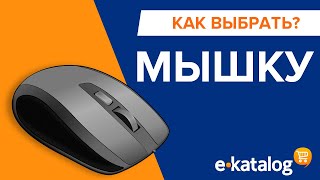 Сколько Стоит Мышка Для Ноутбука Самая Дешевая