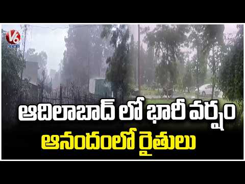 Heavy Rains Bring Relief and Happiness to Adilabad Farmers | V6 News - V6NEWSTELUGU