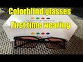 Enchroma Colorblind Glasses first use...EMOTIONAL