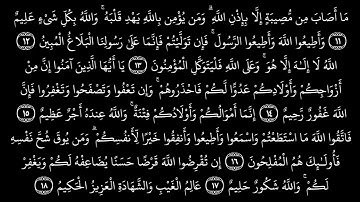 مَا أَصَابَ مِن مُّصِيبَةٍ إِلَّا بِإِذْنِ اللَّهِ | تلاوت خاشعه سورة التغابن| عبدالرحمن حنفی 
