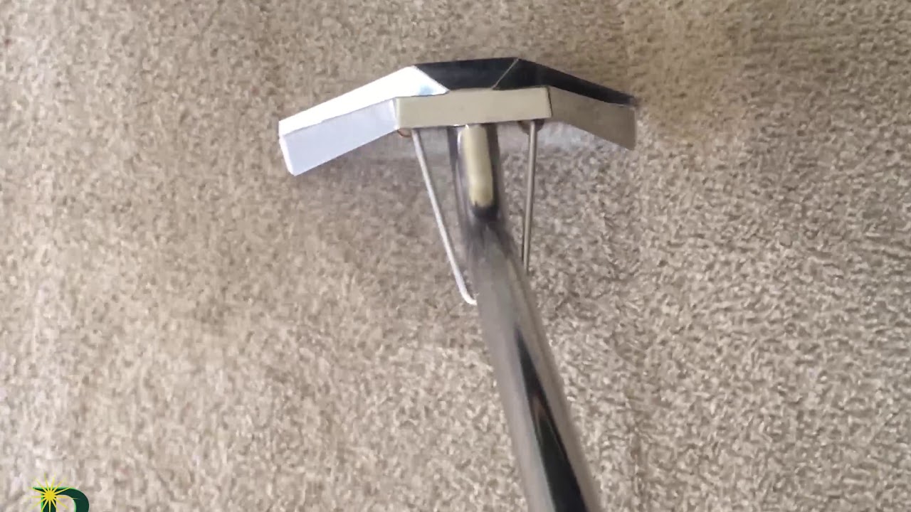 RCS Carpet Cleaning - We mean clean!